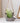 Milo Sloth Hanging Planter - Fun Indoor Plant Decor - DecorOfficial