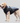 Waterproof Winter Dog Jacket - Warm Cozy Pet Coat - DecorOfficial
