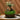 Micro Landscape Glass Vase - Green Oasis Decor - DecorOfficial