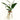 AquaRoots Glass Propagators - Stylish Plant Growth Containers with Cork Lid - DecorOfficial