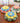 Daisy Cushion - Floral Throw Pillow - DecorOfficial