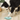 Self-Dispensing Pet Feeder Toy - Portable Food Tumbler for Playful Pets - DecorOfficial
