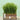 Natural Cat Grass Treats - Healthy Canned Snacks for Felines - DecorOfficial