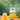 Travel Smoothie Blender - 12-Blade Wireless Compact Mixer - DecorOfficial