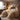Oversized Plush Animal Beds - Cozy Pet Lounge - DecorOfficial