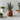 Aruba Ceramic Face Planters - Decorative Succulent Pots - DecorOfficial