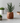 Aruba Ceramic Face Planters - Decorative Succulent Pots - DecorOfficial