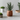Aruba Ceramic Face Planters - Decorative Succulent Pots - DecorOfficial