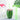 Fruit Party Cups - Colorful Disposable Drinkware - DecorOfficial
