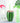 Fruit Party Cups - Colorful Disposable Drinkware - DecorOfficial
