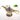 Mini Magic Lamp - Decorative Home Accent - DecorOfficial