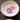 Color Changing Magic Bloom Bowl - DecorOfficial