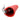 Zinc Nutcracker Tool - Quick Shelling Device - DecorOfficial