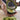 Avocado Slicer - Easy Kitchen Tool for Perfectly Slicing Avocados - DecorOfficial