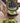 Avocado Slicer - Easy Kitchen Tool for Perfectly Slicing Avocados - DecorOfficial