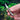 Bamboo Keychain Knife - Titanium Alloy EDC Tool - DecorOfficial