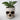Realistic Skull Flower Vase - Unique Home Decor Gothic Accent - DecorOfficial