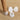 Silicone Furniture Leg Covers - Anti-Slip Protectors Set - DecorOfficial