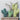 Cactus Dog Chew Toy - Durable Pet Chew for Playtime - DecorOfficial