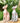 Sphynx Cat Table Decor - Modern Whisper Home Accent - DecorOfficial