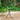 Foldable Walking Chair - Portable Mobility Aid for Seniors - DecorOfficial
