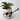 Realistic Skull Flower Vase - Unique Home Decor Gothic Accent - DecorOfficial