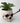 Realistic Skull Flower Vase - Unique Home Decor Gothic Accent - DecorOfficial