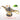 Mini Magic Lamp - Decorative Home Accent - DecorOfficial