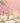 Cartoon Measuring Glass Cup - DecorOfficial