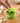 Garlic Slicer - Mini Hand Press Chopper - DecorOfficial