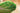 Vegetable Plush Pillow Toy - Soft Cute Cushion - DecorOfficial