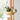 Milo Sloth Hanging Planter - Fun Indoor Plant Decor - DecorOfficial