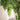 Artificial Moss Grass - Landscape Decoration Home Decor - DecorOfficial