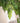 Artificial Moss Grass - Landscape Decoration Home Decor - DecorOfficial