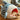 Cozy Shark Pet Bed - Portable Warm House for Cats and Dogs - DecorOfficial