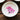 Color Changing Magic Bloom Bowl - DecorOfficial