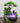 LED Color-Changing Waterfall Fountain - Relaxing Home Decor - DecorOfficial
