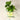 Nordic Wooden Outdoor Wall Lamp Vase - Unique Garden Decor - DecorOfficial