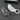 Compact Folding Karambit Knife - Tactical Claw Tool - DecorOfficial