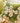 Green Moss Cushion - Decorative Throw Pillow - DecorOfficial