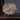 Fossil Sculpture - Genesis Decorative Art Piece - DecorOfficial