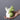 Ceramic Frog Planters - Cute Garden Decor for Outdoor Spaces - DecorOfficial