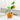 Ceramic Orange Planter - Soleil Decorative Pot - DecorOfficial