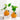 Ceramic Orange Planter - Soleil Decorative Pot - DecorOfficial