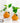 Ceramic Orange Planter - Soleil Decorative Pot - DecorOfficial