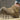 Protective Heavy-Duty Wear Resistant Work Boots - DecorOfficial