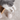 Interactive Eggshell Cat Tumbler Toy for Engaging Playtime - DecorOfficial