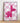 Pink Balloon Dog Poster