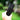 Rechargeable High-Power Camping Flashlight Portable LED Lantern for Outdoor Adventures - DecorOfficial
