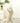 Interactive Cat Toy - Fun Teaser for Exercise Playtime - DecorOfficial